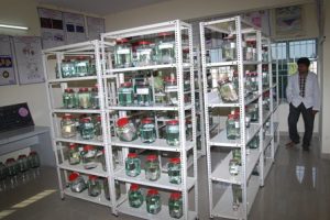 WhatsApp Image 2022-08-18 at 3.07.01 PM (2)