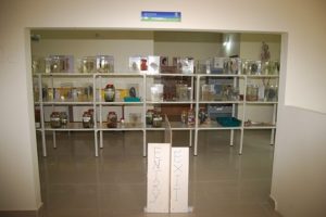 WhatsApp Image 2022-08-18 at 3.07.01 PM (3)